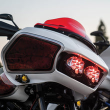 Load image into Gallery viewer, CRO Moto Custom Baja Designs LP6 Pro Led Auxiliary Light Pod